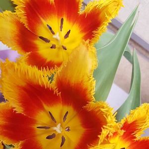 Meet your Posher, Pat